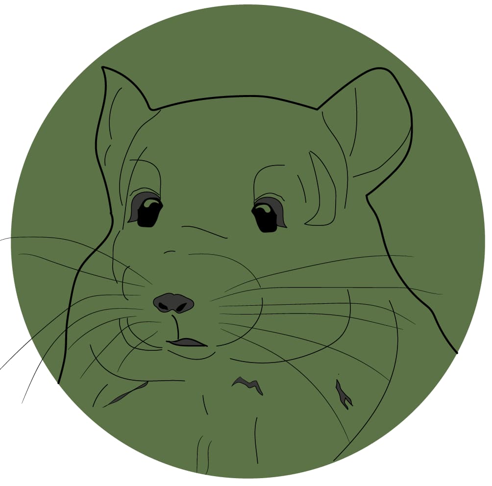 Productos para tus chinchillas