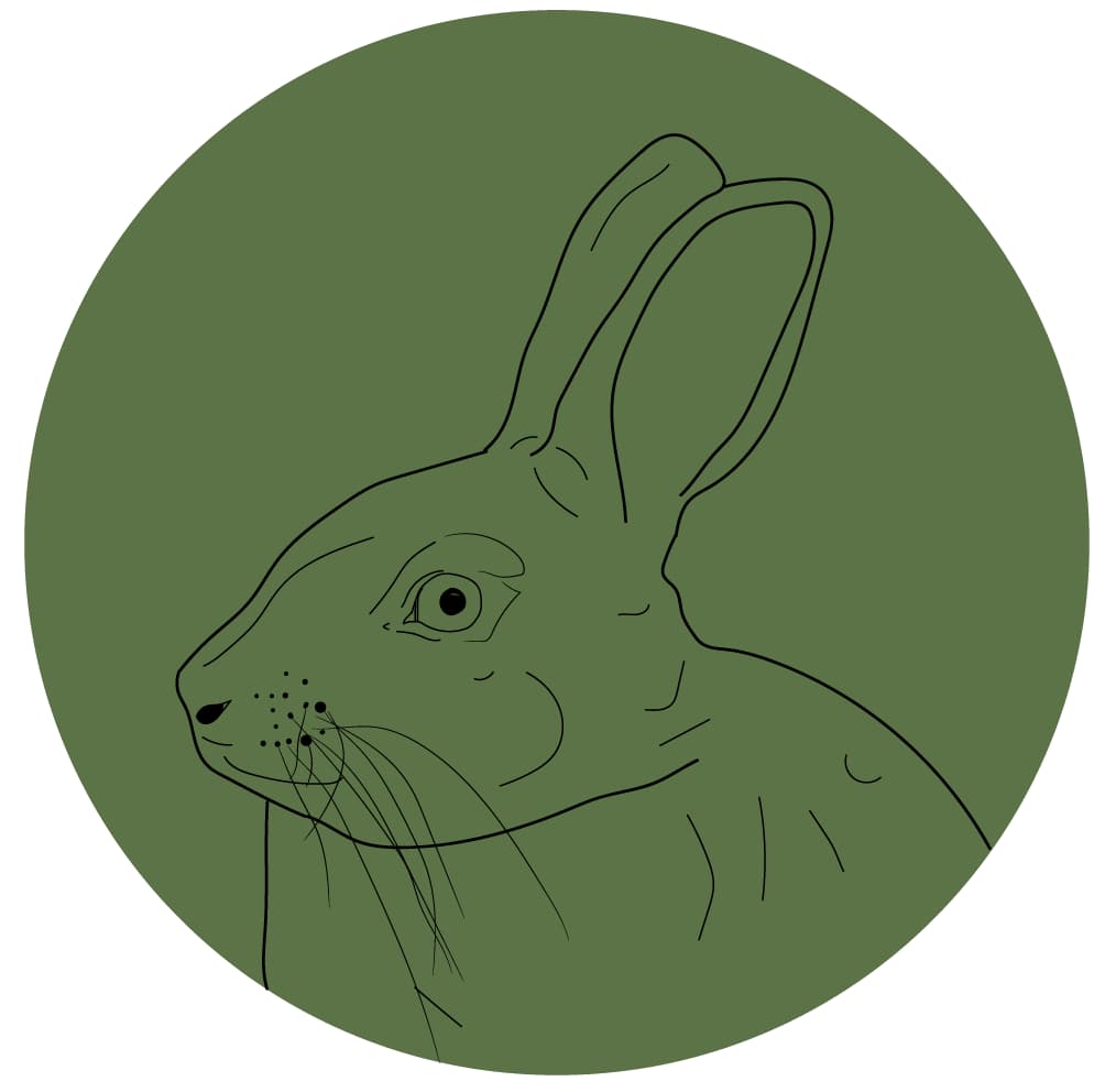 PRODUCTOS PARA TUS CONEJOS