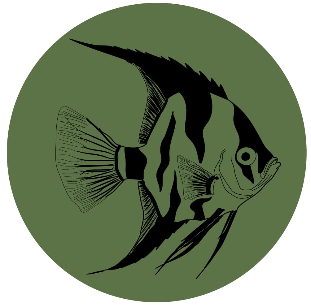 PRODUCTOS PARA TUS PECES