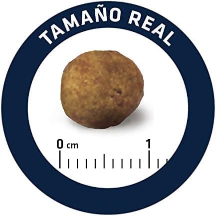 Advance Veterinary Diets Gastroenteric, Pienso para Perros con Trastornos gastrointestinales, 3kg