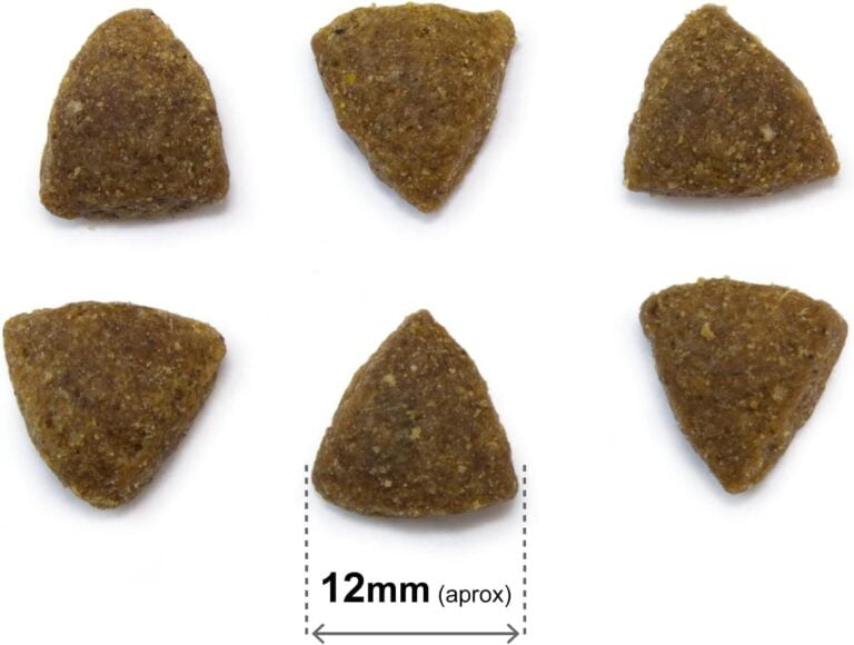 61ZfbIbZHSL._AC_SL1500_