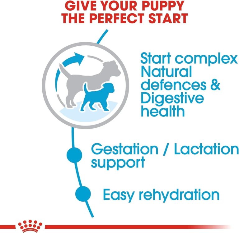 Royal Canin C-08314 S.N. Mini Starter - 1 Kg