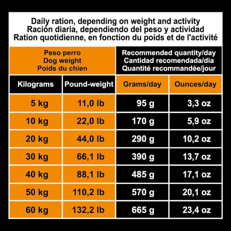 Arquivet Original Adult - Pienso para Perros Adultos - Pollo Y Arroz - Marrón, 12 kg (Paquete de 1)