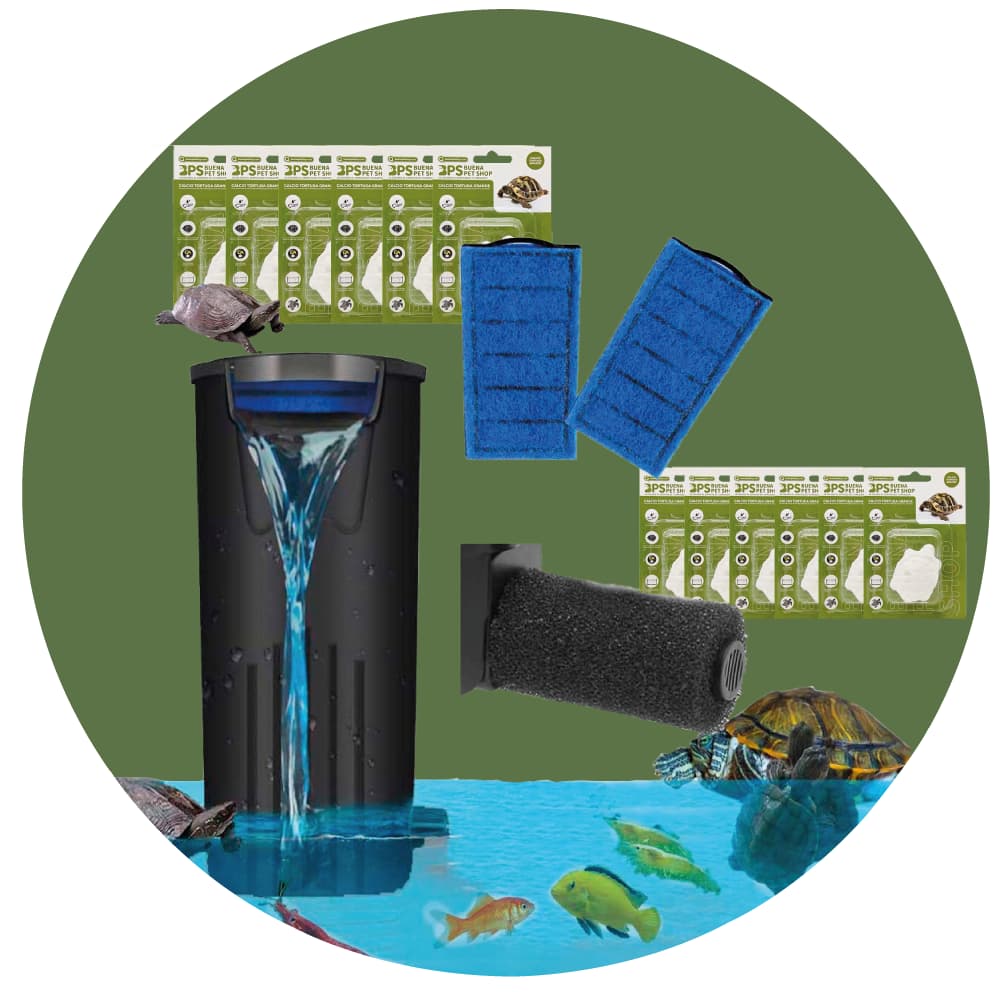 SALUD Y BIENESTAR DE TU TORTUGA