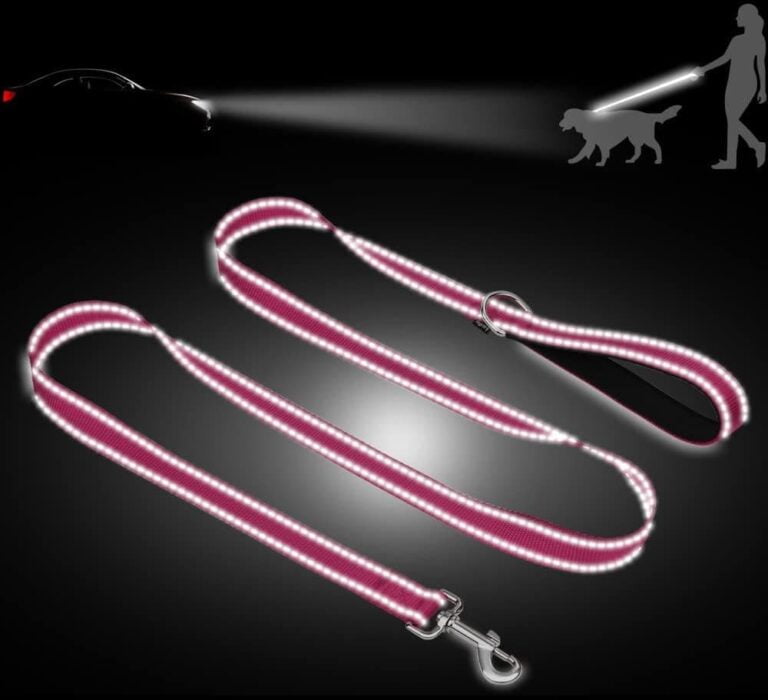Taglory Correa Perro Reflectante, Mango Acolchado Suave y Gancho de Metal, Correas Adiestramiento para Perros Pequeño, 1.2m x 2.0cm, Fucsia