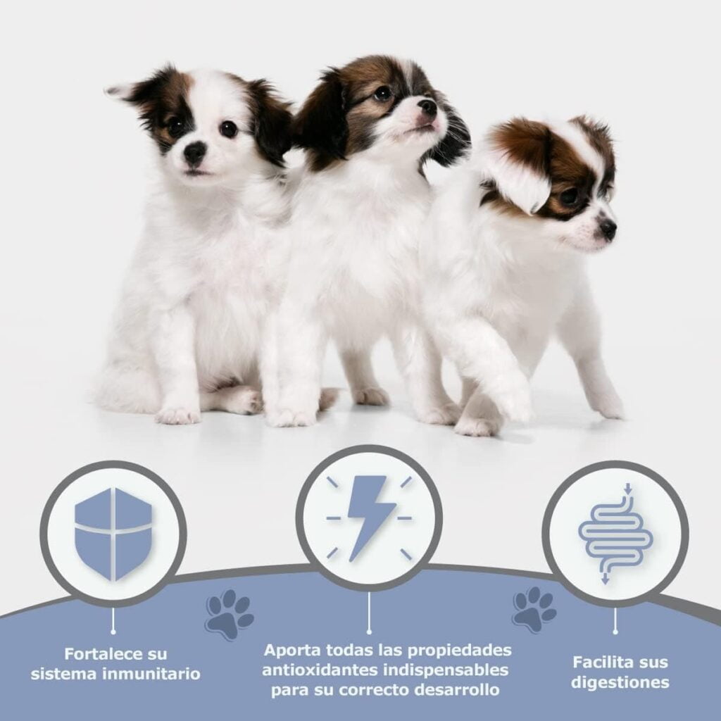 Avantis Pet Puppy - Pienso para Perros Cachorros de Cualquier Raza - 3 kg - Comida Apta para Madres Embarazadas y Lactantes - Altamente Digestiva con Pollo, Verdura y Cereales