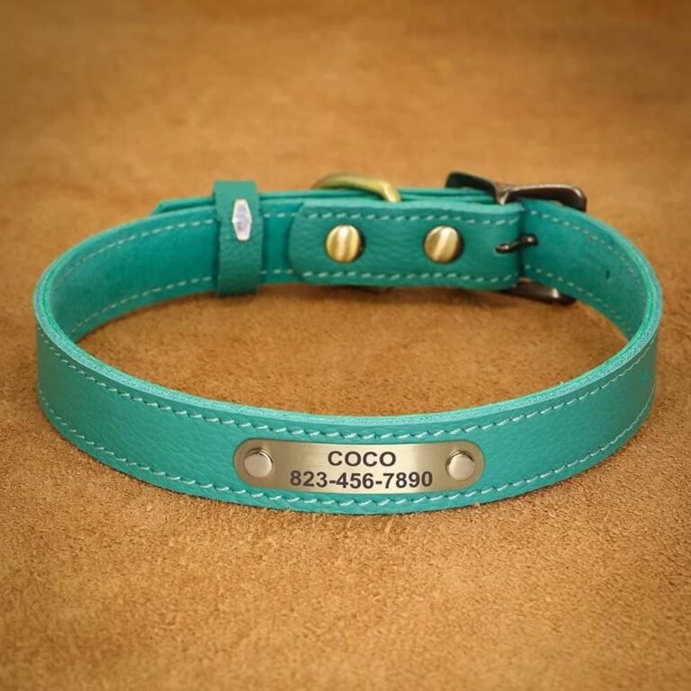 PET ARTIST Personalizado Collar de Perro de Cuero Genuino, Ligero y Suave Collar, 7 Hermosos Colores, Collar de Perro Durable para Cachorro y Perros pequeños, Verde S