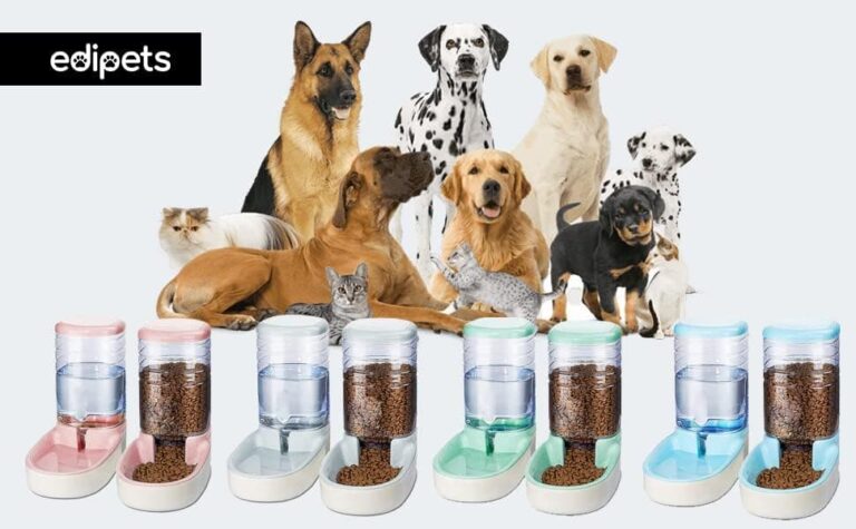 Edipets, Dispensador para Gatos y Perros, Comida y Agua, Pack 2 Unidades, Automático, 3.8 L c/u, Comedero, Alimentador y Bebedero para Mascotas (Gris)