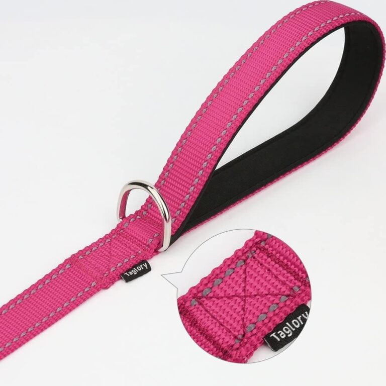 Taglory Correa Perro Reflectante, Mango Acolchado Suave y Gancho de Metal, Correas Adiestramiento para Perros Pequeño, 1.2m x 2.0cm, Fucsia