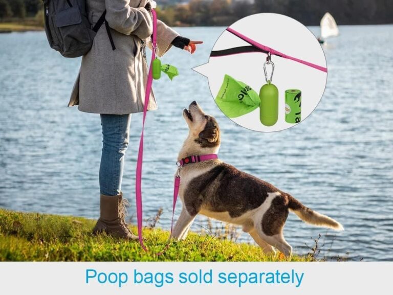 Taglory Correa Perro Reflectante, Mango Acolchado Suave y Gancho de Metal, Correas Adiestramiento para Perros Pequeño, 1.2m x 2.0cm, Fucsia