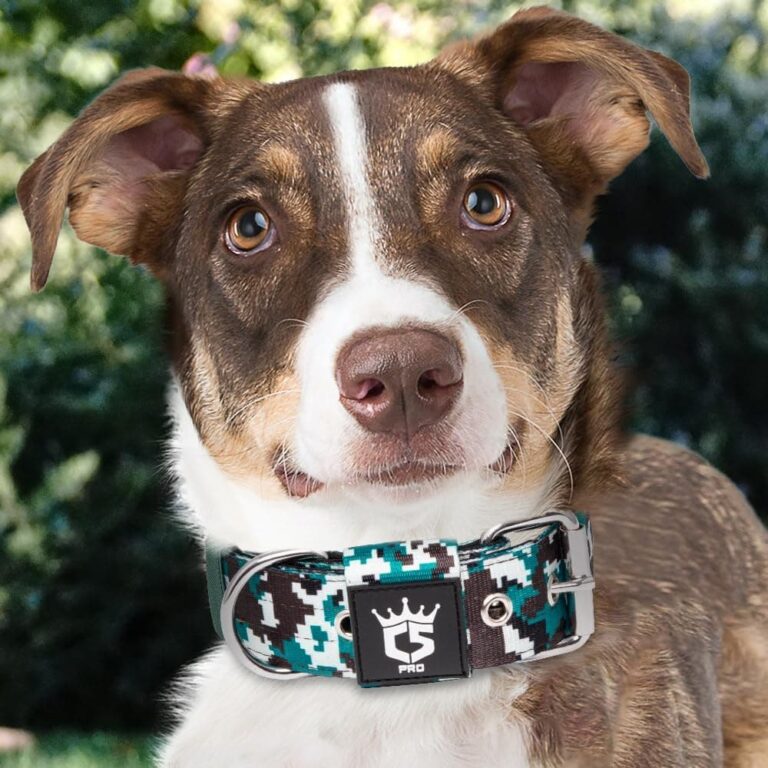 TSPRO - Collar táctico de 4 cm de ancho para perro. Collar fuerte y grueso de grado militar con hebilla de metal resistente para perro (cian camuflaje, M)