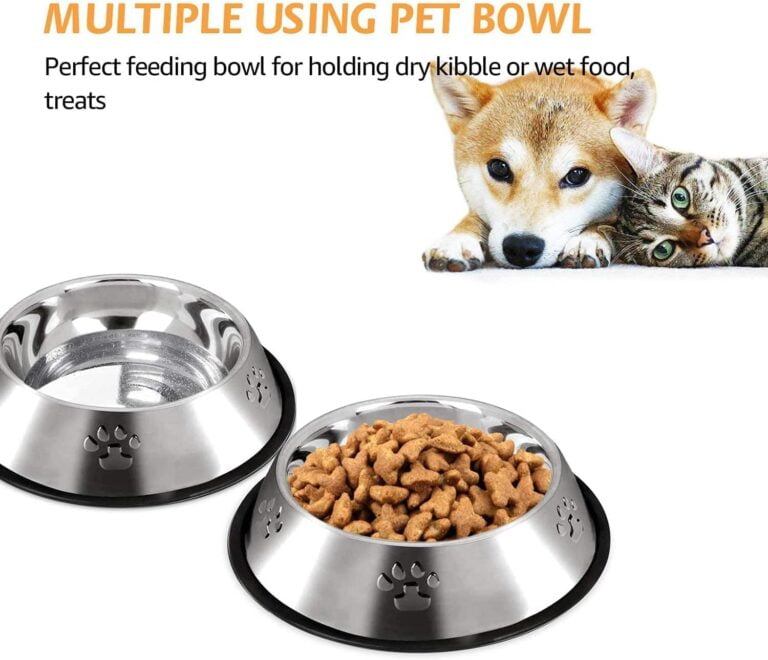 Hotype Comedero para Perro de Acero Inoxidable, Cuenco De Comida para Mascotas, Comedero y Bebedero Perro Antideslizante, para Perro Pequeñas y Medianas, 2 Unidades, 22cm