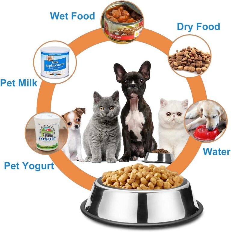 Nobleza - 2 Unidades Cuenco de Acero Inoxidable, Tazón Antideslizante para Mascotas con Base De Goma para Perros Medianos/Grandes 22.5 CM