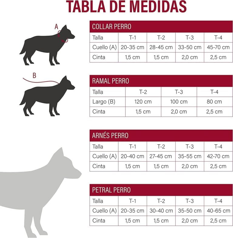 Collar para Perros Pequeños T1 - 20 - 35 x 1 cm - Fabricado en Nylon - Diseño Bandera de España - Talla S - Muy Resistente y Confortable - Accesorios para Perros - Consentida