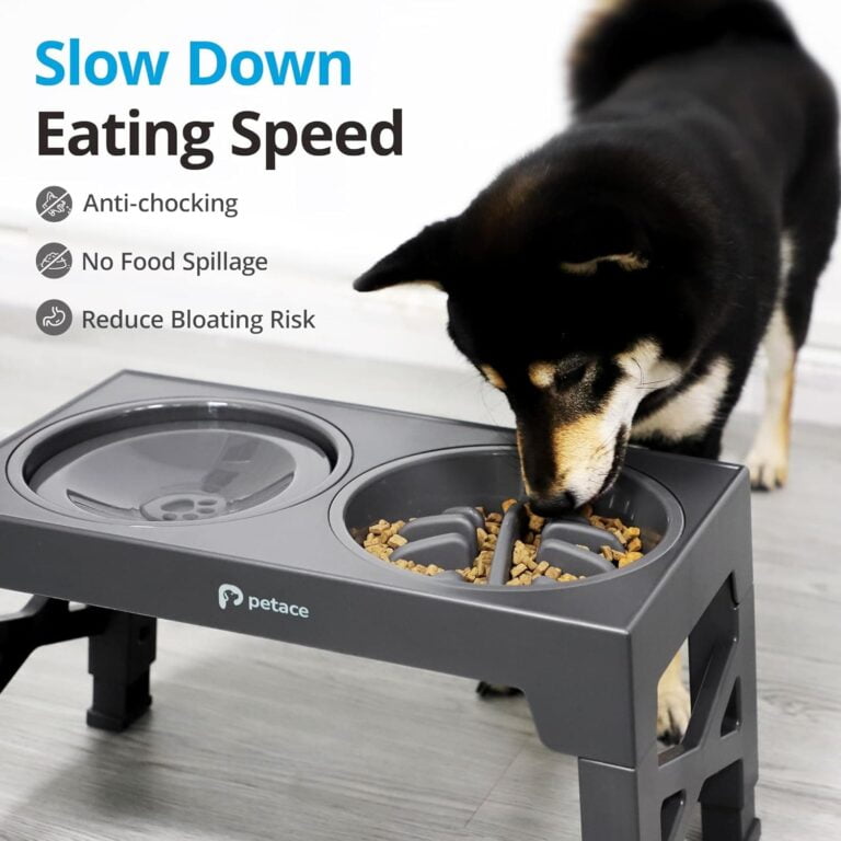 Petace Comedero Perro Elevado, 1 Comedero de Acero Inoxidable, 1 Comedero Perro Antivoracidad, 1 Bebedero Perro Antigoteo, Ajustable de 5 Alturas para Perros Pequeños, Medianos y Grandes, Gris