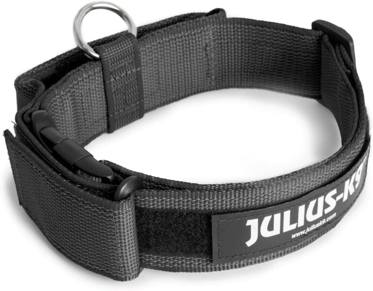 Collar Color & Gray con la manija, la cerradura de seguridad y el remiendo intercambiables, 50 mm (49-70 cm), Negro-Gris
