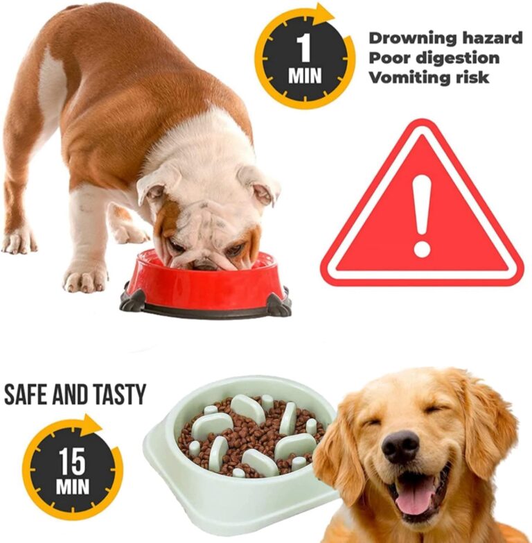 Comedero antivoracidad para Perros, comedero Lento Laberinto Interactivo para Mascota Antideslizante de plástico, comedero para Perros pequeños, Mediano y Grandes (Verde)