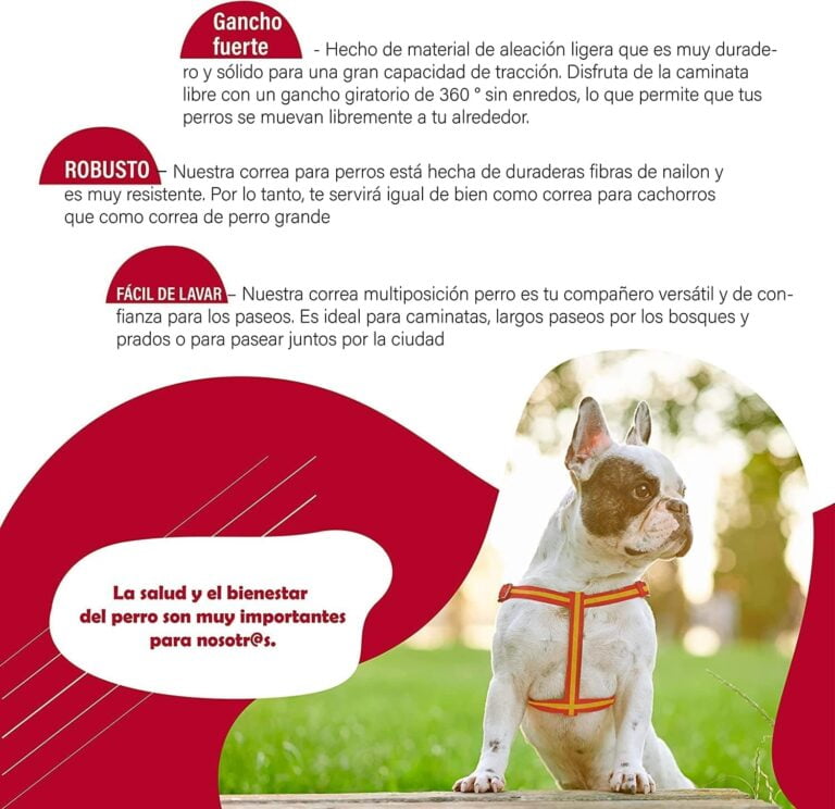 Collar para Perros Pequeños T1 - 20 - 35 x 1 cm - Fabricado en Nylon - Diseño Bandera de España - Talla S - Muy Resistente y Confortable - Accesorios para Perros - Consentida