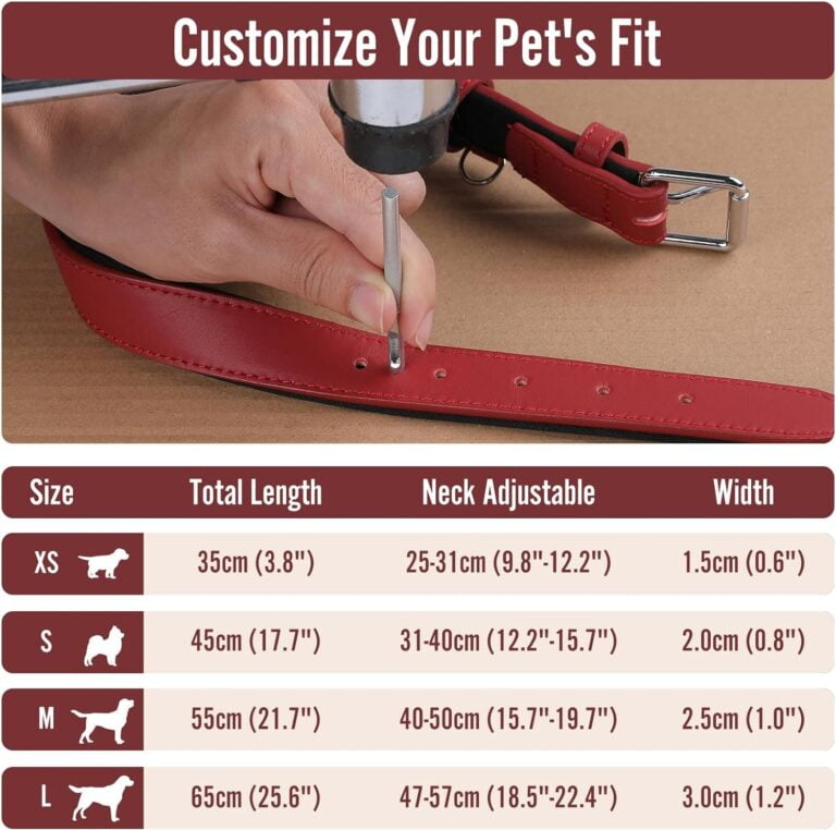 Grand Line Collar de Perro de Cuero, Collare Ancho y Grueso con Suave Acolchado，Collare de Perro en Piel Ajustables Resistentes para Perros Pequeños, Medianos, Grandes (Roja, S)