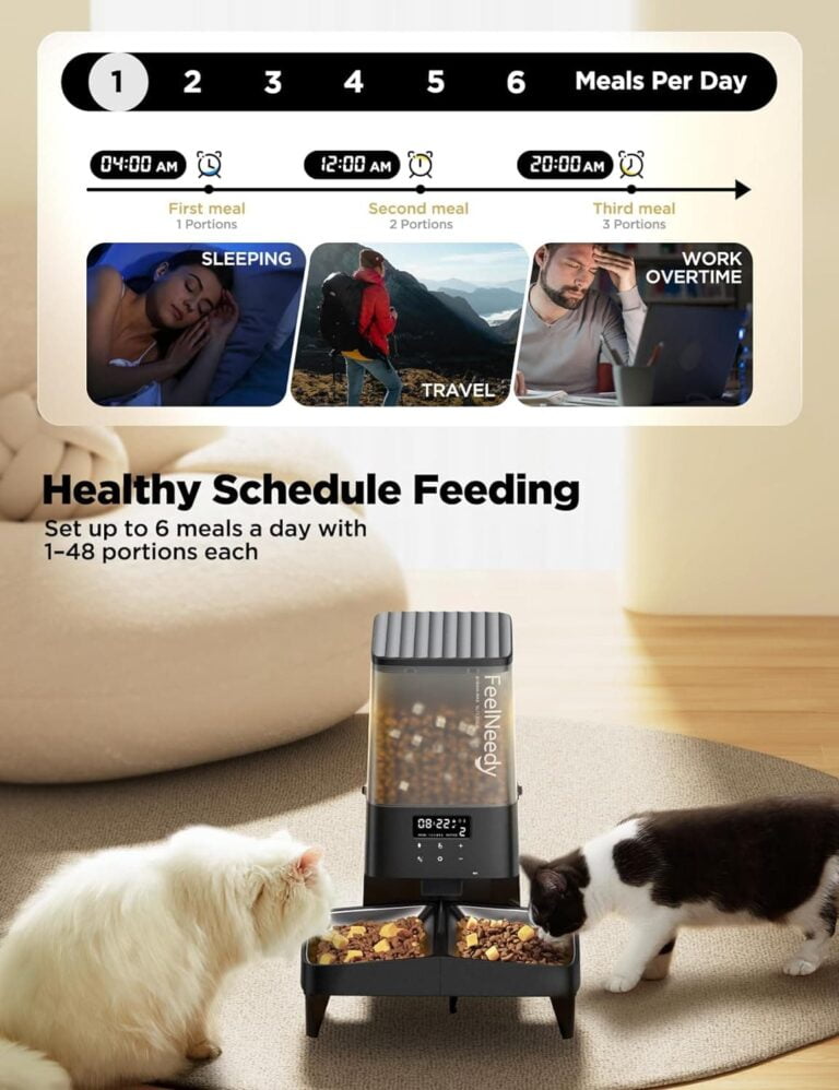 FEELNEEDY 5L Comedero Gato Automático para 2 Gatos y Perros, Dispensador de Comida hasta 6 Comidas al Día con 2 Cuencos Desmontables, Grabación de Voz 10s, Control de Porciones (Auto-Negro)