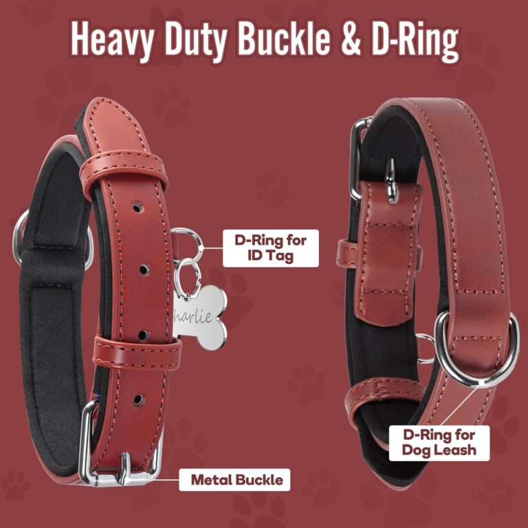 Grand Line Collar de Perro de Cuero, Collare Ancho y Grueso con Suave Acolchado，Collare de Perro en Piel Ajustables Resistentes para Perros Pequeños, Medianos, Grandes (Roja, S)