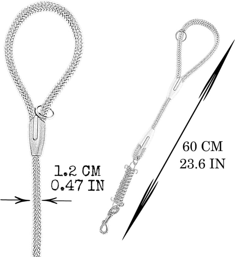 81LX7RJkFzS._AC_SL1500_