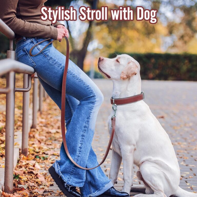 Grand Line Collar de Perro de Cuero, Collare Ancho y Grueso con Suave Acolchado，Collare de Perro en Piel Ajustables Resistentes para Perros Pequeños, Medianos, Grandes (Roja, S)