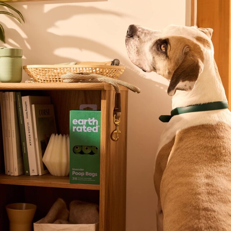 Earth Rated - Bolsas para excrementos de perro - Bolsas para excrementos de mascotas a prueba de fugas y extragruesas, para perros de todos los tamaños - Con aroma a lavanda - 315 unidades