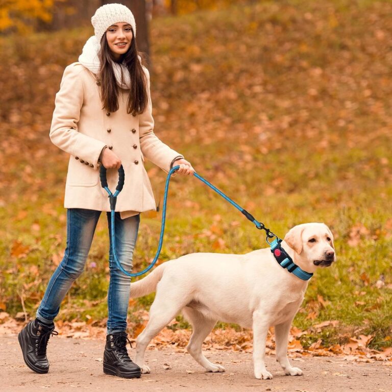 haapaw Collar de Perro Reflectante Acolchado con Neopreno Suave Collares de Perro de Nailon Ajustables Transpirables para Perros pequeños medianos Grandes