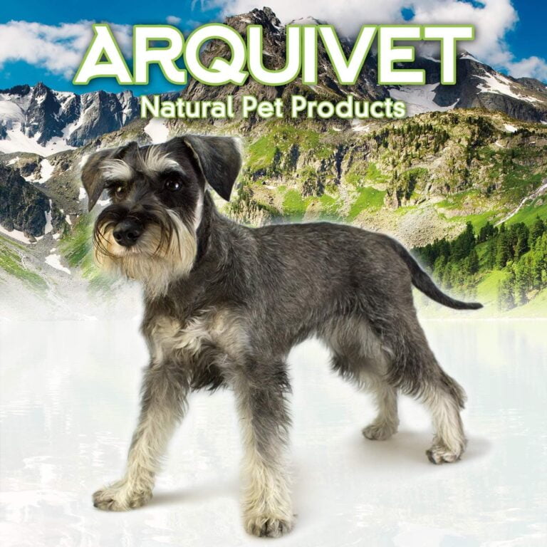 Arquivet Comedero, Bebedero Acero Inoxidable para Perro o Gato, Acero Inoxidable, 350 ml / 13 cm