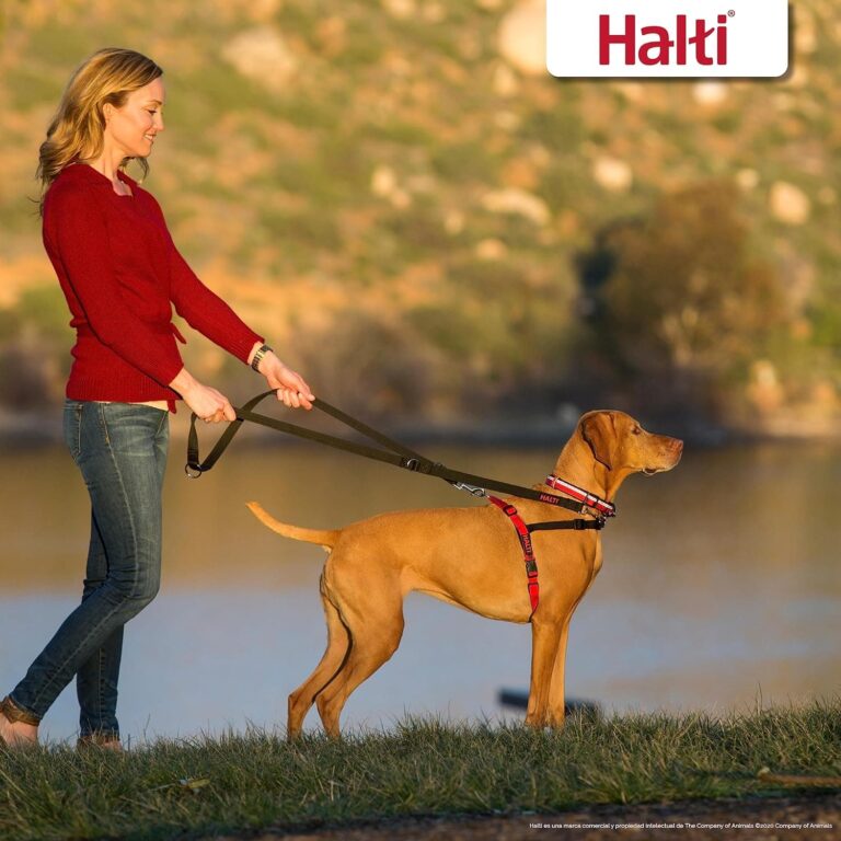 Arnés de control frontal HALTI - Para evitar que tu perro tire de la correa, Ajustable, Ligero y Fácil de Usar. Adiestramiento canino antitirones Arnés para perros medianos (Talla M)