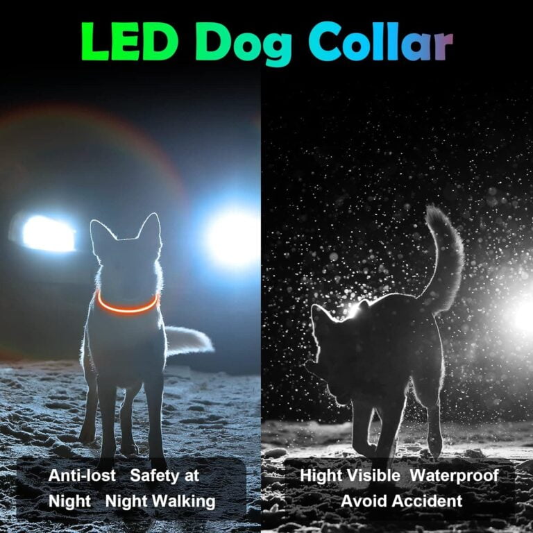 AUAUY Collar de Perro LED, Collar Perro Recargable por USB Tamaño Ajustable, Collar Luminoso Perro Impermeable Collar de Seguridad Reutilizable para Perros Pequeños Medianos Y Grandes （Rojo）
