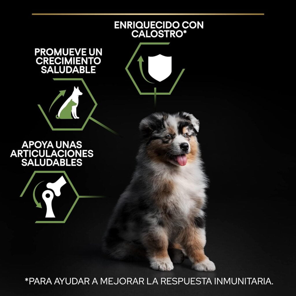Purina Pro Plan Medium Puppy Start Pienso para Perro Mediano, Cachorro, Junior, Bebé con Pollo, saco de 12kg