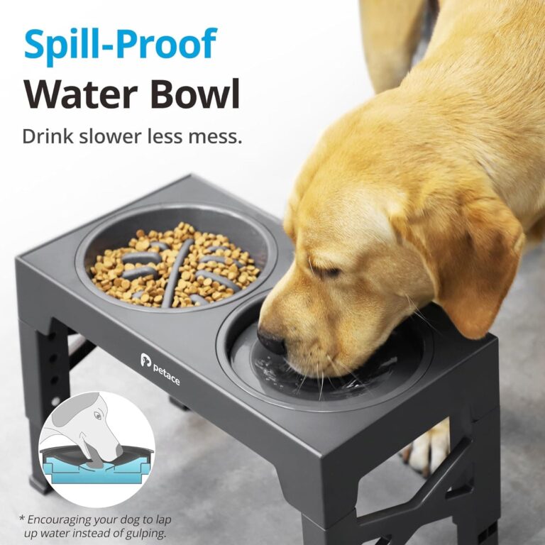 Petace Comedero Perro Elevado, 1 Comedero de Acero Inoxidable, 1 Comedero Perro Antivoracidad, 1 Bebedero Perro Antigoteo, Ajustable de 5 Alturas para Perros Pequeños, Medianos y Grandes, Gris