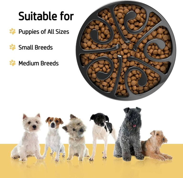 Decyam Comedero Perro, Antideslizante Alimentacion Plato alimentador Tazon Comedero para Mascotas Bebedero Cuenco Bol Recipiente (S/M, Negro)
