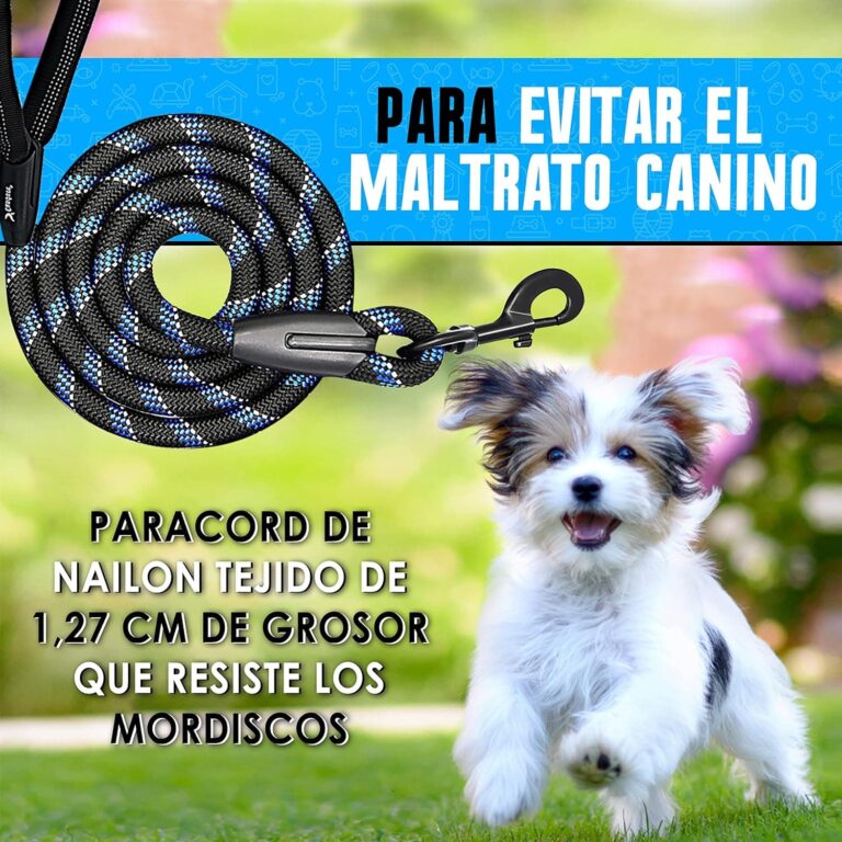 Candure Correa Perro con Mango Acolchado Suave y Nylon Sólido/Larga Reflectante Cuerda 5 ft Correas Perros Grande, Medianos y Pequeño - Adecuado para Adiestramiento,Correr y Senderismo (Negro)