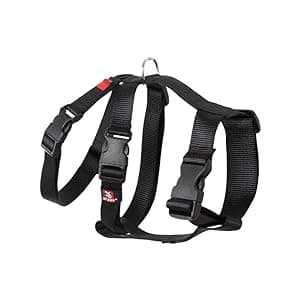 arppe 196202040009 Arnés Nylon Basic Triple, Negro, M