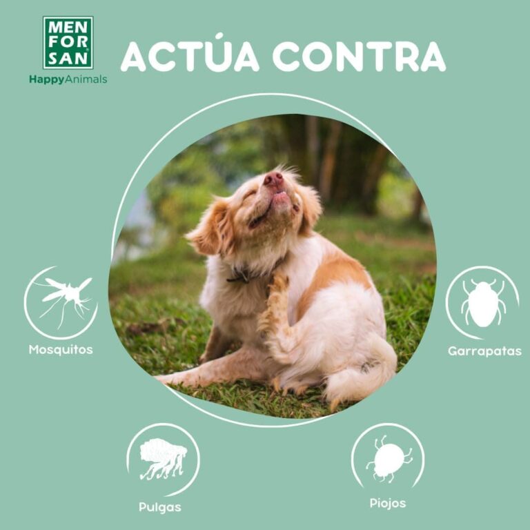 MENFORSAN Champú repelente de insectos para perros 1L, con citronela ingrediente natural