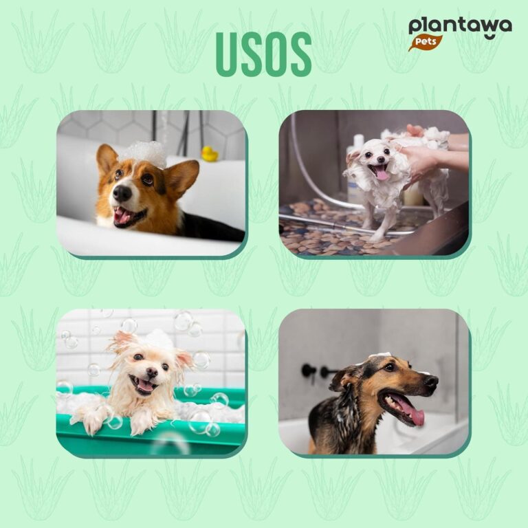 PLANTAWA Champú para Perros Aloe Vera 1L | Champu Perro para Pieles Sensibles y Dermatitis | Acción Anti Irritaciones Sin alérgenos, Sin parabenos, 100% Vegano con Extractos Naturales