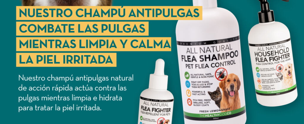 The Healthy Dog Co Champú antipulgas Completamente Natural | Limoncillo | 500ml | El Mejor Tratamiento para Perros y gatos | Fórmula Potente y Segura | Mata y controla pulgas garrapatas y piojos