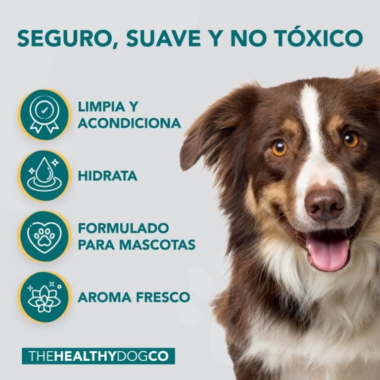 The Healthy Dog Co Champú antipulgas Completamente Natural | Limoncillo | 500ml | El Mejor Tratamiento para Perros y gatos | Fórmula Potente y Segura | Mata y controla pulgas garrapatas y piojos