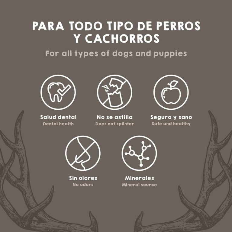 MAIKAI Asta de Ciervo para Perro Talla L - Mordedor Natural para Perros - Resistente - Hueso Ideal para Razas Medianas hasta 30 kg - Juguete para Perros