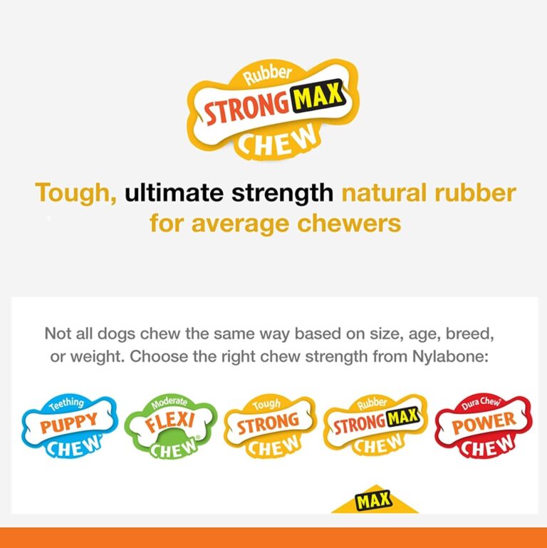 Nylabone Juguete masticable para Rellenar Fabricado en Goma Natural, Sabor a beicon, Apto para Perros pequeños (hasta 11 kg), S, Red 1 Unidad 150 g