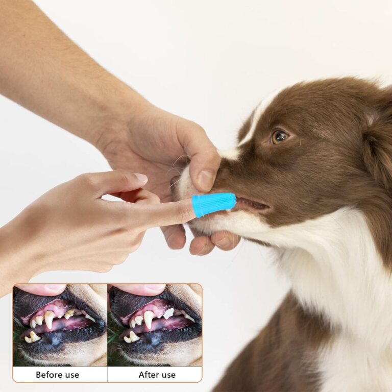 4 Piezas Cepillo de Dientes para Perros, Cepillo Dientes para Mascotas, Silicona Dog Toothbrush, Reutilizable Utilizando Cajas Almacenamiento, Cuidado Dental para Perros, Gatos y Cachorros (4 Colores)