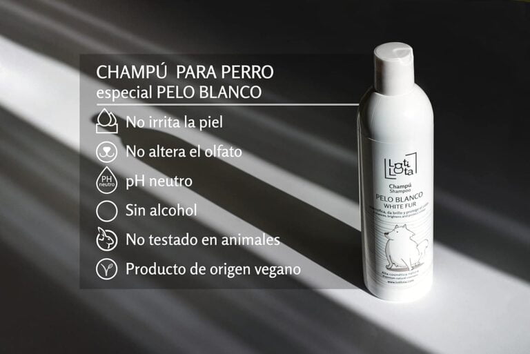 71mXvzxHv5L._AC_SL1500_