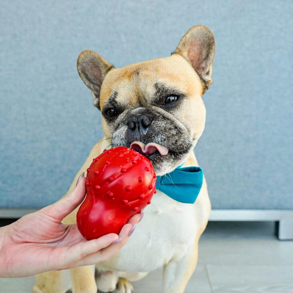 Nylabone Juguete masticable para Rellenar Fabricado en Goma Natural, Sabor a beicon, Apto para Perros pequeños (hasta 11 kg), S, Red 1 Unidad 150 g