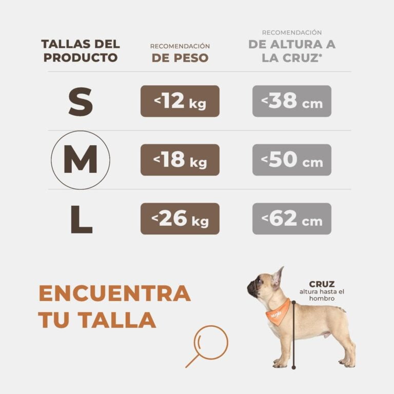 Asiento de Coche para Perro Extra Estable – Asiento Reforzado para Perros de tamaño Mediano con 4 Correas de sujeción, Robusto e Impermeable Asiento de Coche para Mascotas para Asiento Posterior