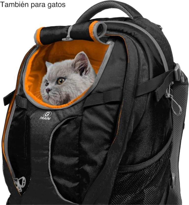 Kurgo G-Train, Mochila para Perros Pequeños y Gatos, Transportín, Base Impermeable, Viajes y Excursiones, Azul Marino