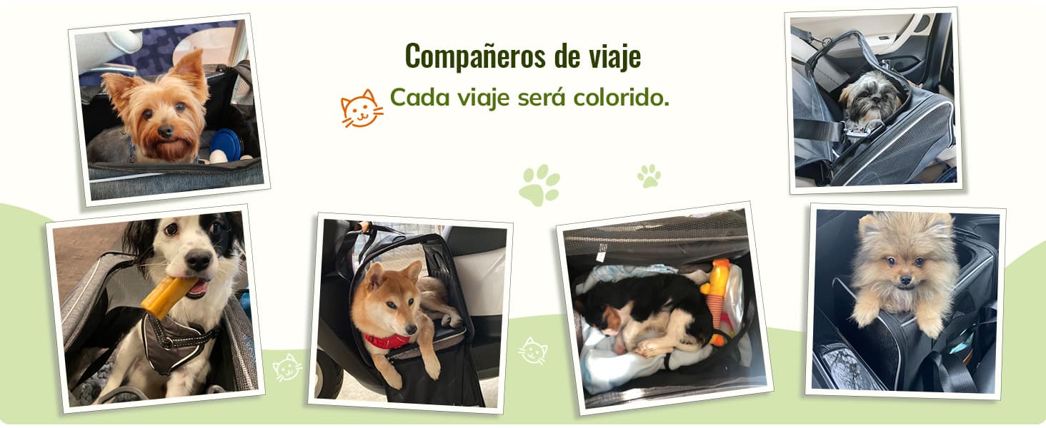 morpilot Transportín Perro Transportín Gato, Bolsa Transporte Transpirable para Mascota, Bolsa Perro Transporte con Correa de Hombro Ajustable y con Cojín Extraíble + Tazón (16.9 * 11.8 * 13 Inch)