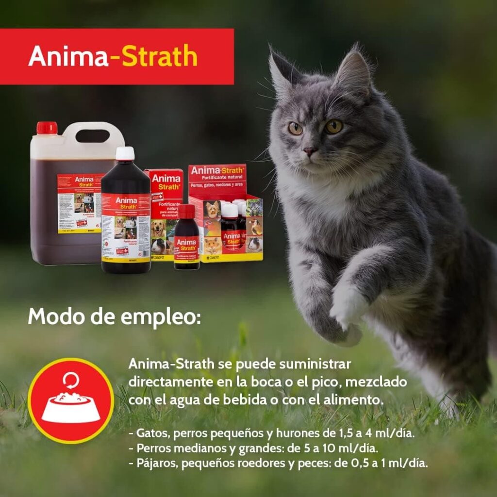 STANGEST Anima-Strath Suplemento Nutricional para Animales de compañía, Fortificante Natural con Levadura de Cerveza, Malta, Miel y Zumo de Naranja, Apoya Sistema Inmune 250 ml Blanco